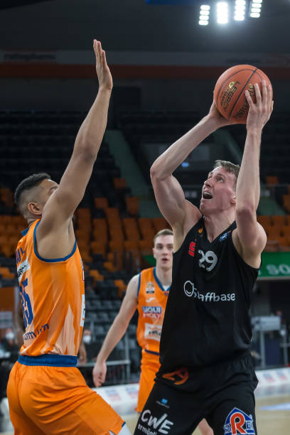 引进萨利巴 引进萨利巴